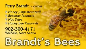 Brandts Bees